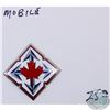 Image 1 : Canadian Forces Mobile Command Badge.