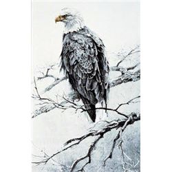 Bald Eagle Studies #4 - Perched by Robert Bateman