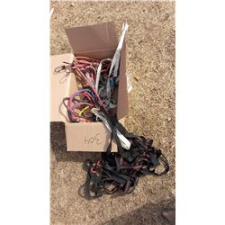 Bungee Cords & Ratchet Straps