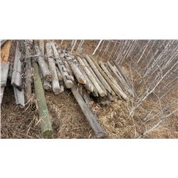 Lot Of Fence Poles (30+) (Some Old, Some New)