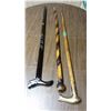 Image 1 : Walking Canes (3)