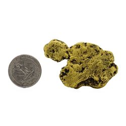 90.6 Gram Alaskan Gold Nugget