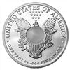 Image 2 : 1 oz Sunshine Walking Liberty Silver Round