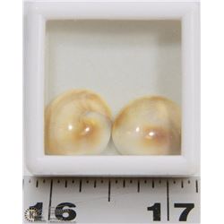 NATURAL SHIVA'S EYE TOTAL 20CT 2 PCS