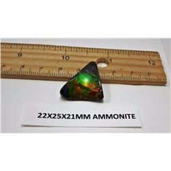 #9 - GREEN/ORANGE FIRE AMMOLITE GEMSTONE