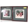 Image 1 : LOT OF 2 NEW FRAMED FRUIT PICTURES 15"X15" EACH