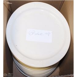 LOT OF FOURTEEN 10-3/4" PLATES