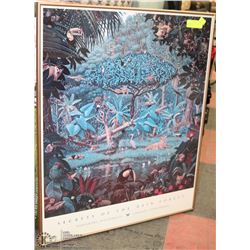 FRAMED "SECRETS OF THE RAIN FOREST" PRINT