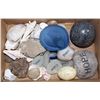 Image 1 : BOX W/ROCKS, FOSSILS & SHELLS INCL.