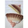 Image 2 : PAIR OF LOS ANGELOS POTTERIES WALL POCKETS