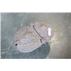 Image 3 : ANTIQUE CAST IRON COAL HOD 19TH CENTURY
