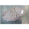 Image 4 : ANTIQUE CAST IRON COAL HOD 19TH CENTURY
