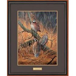 DUCKS UNLIMITED PHESANTS PRINT