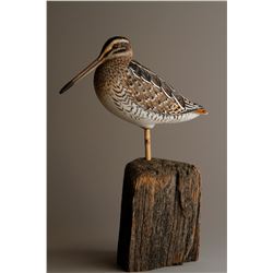 "Wilson's Snipe" by Andy White