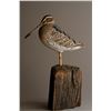 Image 1 : "Wilson's Snipe" by Andy White