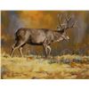 Image 1 : "The Colors Of Autumn" by Colin Alexander