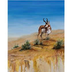  Big Sky Antelope  by Ilene Paulsen