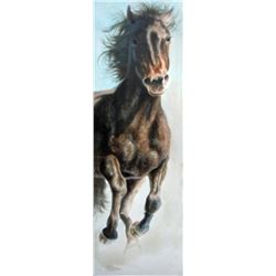 "Run Pony Run" by Albert Joransen