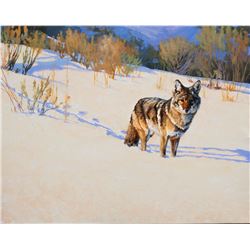  Winter Coyote  by Edward DuRose