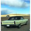 Image 1 : FRIDAY NIGHT! 1967 FORD FAIRLANE 500 CONVERTIBLE