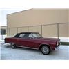 Image 1 : 1964 CHEVROLET CHEVELLE MALIBU SUPER SPORT CONVERTIBLE