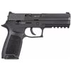 Image 1 : Sig Sauer 250F9B P250 Full Size DAO 9mm 4.7" 17+1 CS Poly Grip Nitron Blk