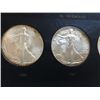 Image 4 : American Silver Eagle Collection