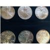 Image 8 : American Silver Eagle Collection