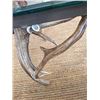 Image 4 : Antler Glass Top Table