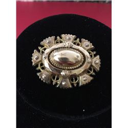 Victorian Mourning Pin
