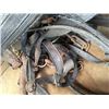 Image 3 : Horse Harness
