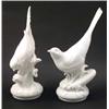 Image 1 : A pair of Meissen bird models, unpainted, each bird alighting on floral sprig, 8.5in....