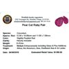Image 2 : 9.47 ctw Pear Mixed Ruby Parcel