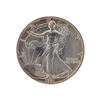 Image 1 : 1991 American Silver Eagle Dollar Coin