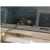 Image 5 : 2006 - FORD CROWN VICTORIA