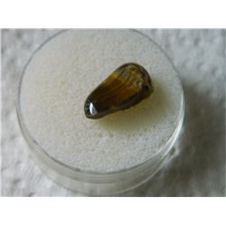 POLISHED FREE FORM GEMSTONE - TIGERS EYE