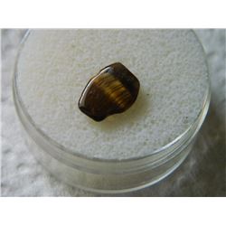 POLISHED FREE FORM GEMSTONE - TIGERS EYE