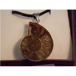 NECKLACE PENDANT - NEW POLISHED AMMONITE PENDANT IN STERLING SILVER SETTING