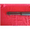 Image 6 : REMINGTON 1100/R