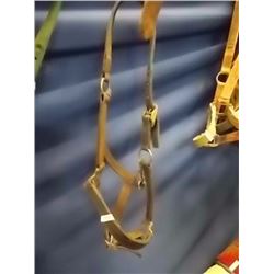 HORSE HALTER