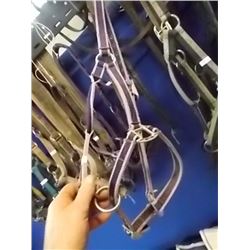 HORSE HALTER