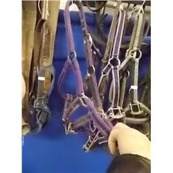 HORSE HALTER