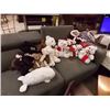Image 1 : LOADS OF ASSORTED TEDDY BEARS