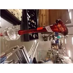 LUMIX CAMERA IN ROOTS CASE