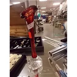 LUMIX CAMERA IN ROOTS CASE