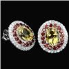 Image 1 : Natural Garnet & Citrine Earrings