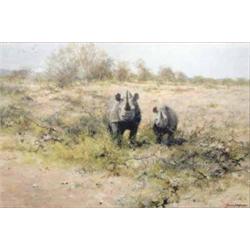 David Shepherd (1931-) oil on canvas, Rhinos in Namibia, signed, 14 x 21 ins....