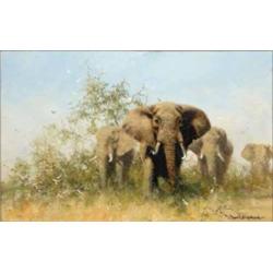 David Shepherd (1931-) oil on canvas, Elephants, signed, 8 x 12 ins. Presented by the artist to r...