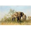 Image 1 : David Shepherd (1931-) oil on canvas, Elephants, signed, 8 x 12 ins. Presented by the artist to r...