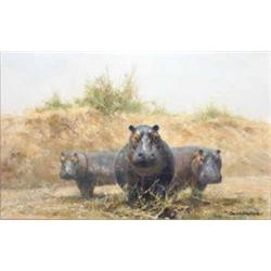 David Shepherd (1931-) oil on canvas, Hippo, signed, 9 x 14 ins....